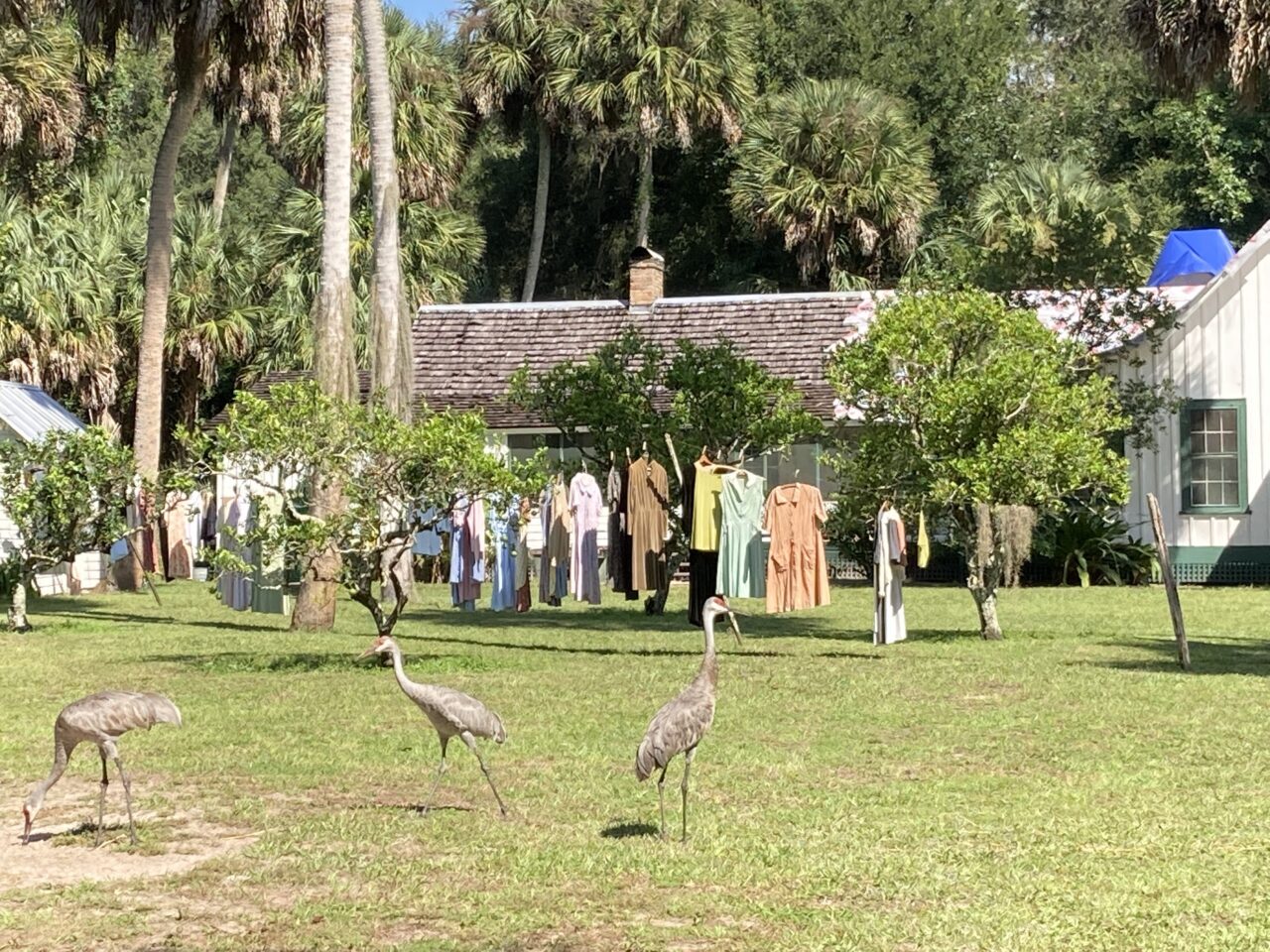 Six Reasons to Visit Cross Creek - CranesClothesline 1280x960 